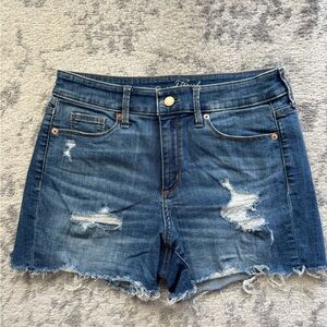Universal Thread Blue Jean Shorts